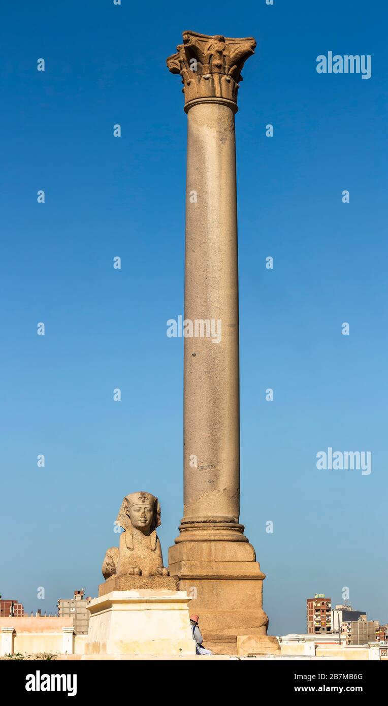 Pompeius Säule, einer der größten monolithen korinthischen Säulen und Sphinxe, steht an der östlichen Seite des Temenos des Serapeum von Alexandria Stockfoto