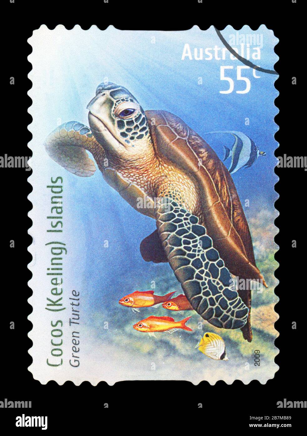 AUSTRALIEN - CIRCA 2009: Eine stornierte Briefmarke aus Australien, die Green Turtle illustriert und 2009 herausgegeben wurde. Stockfoto