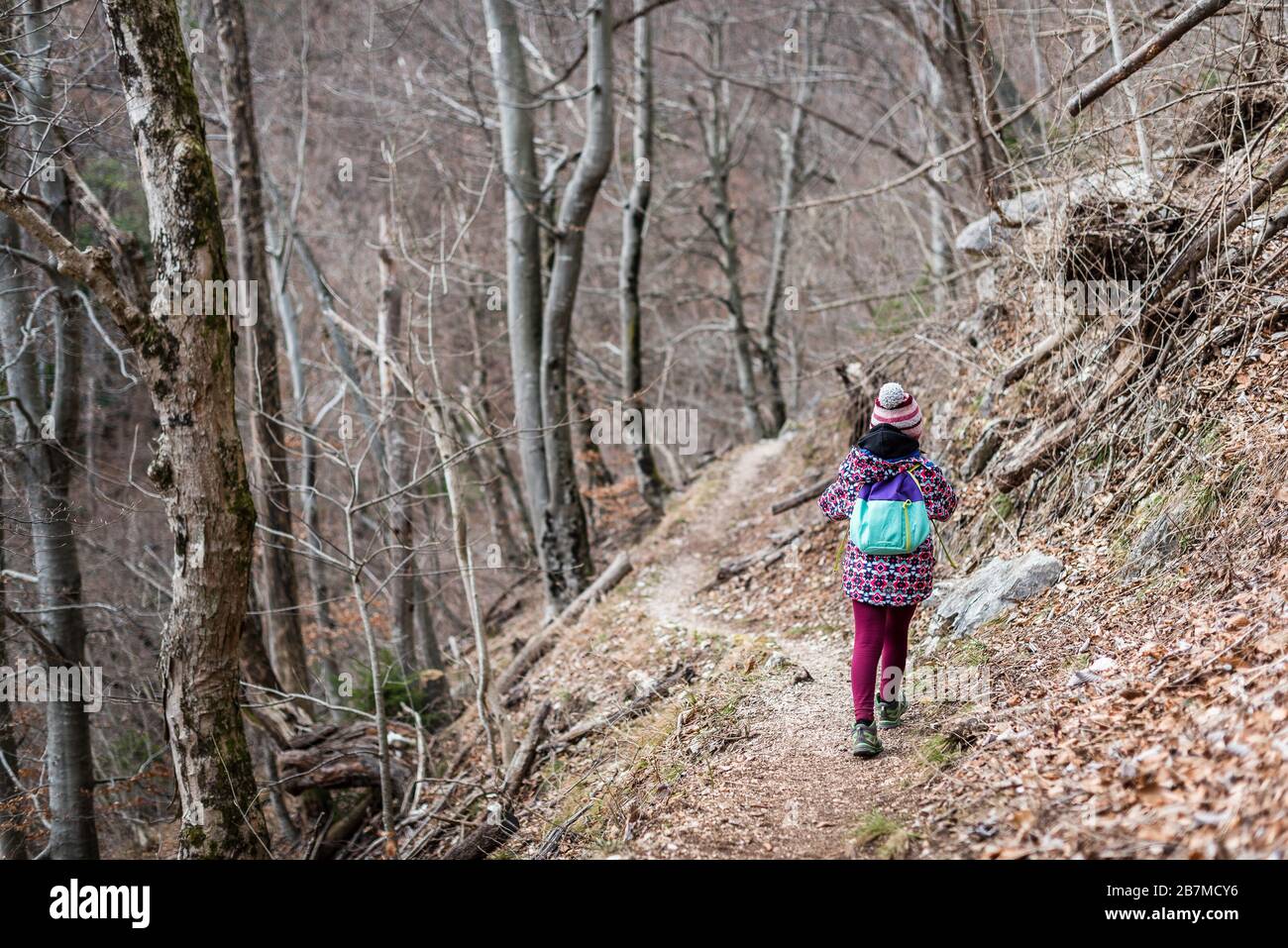 Kinder, die auf Familienausflug in die Berge oder in den Wald wandern. Aktive Familie, Eltern und Kinder Bergsteigen in der Natur. Kinder gehen im Wald Stockfoto