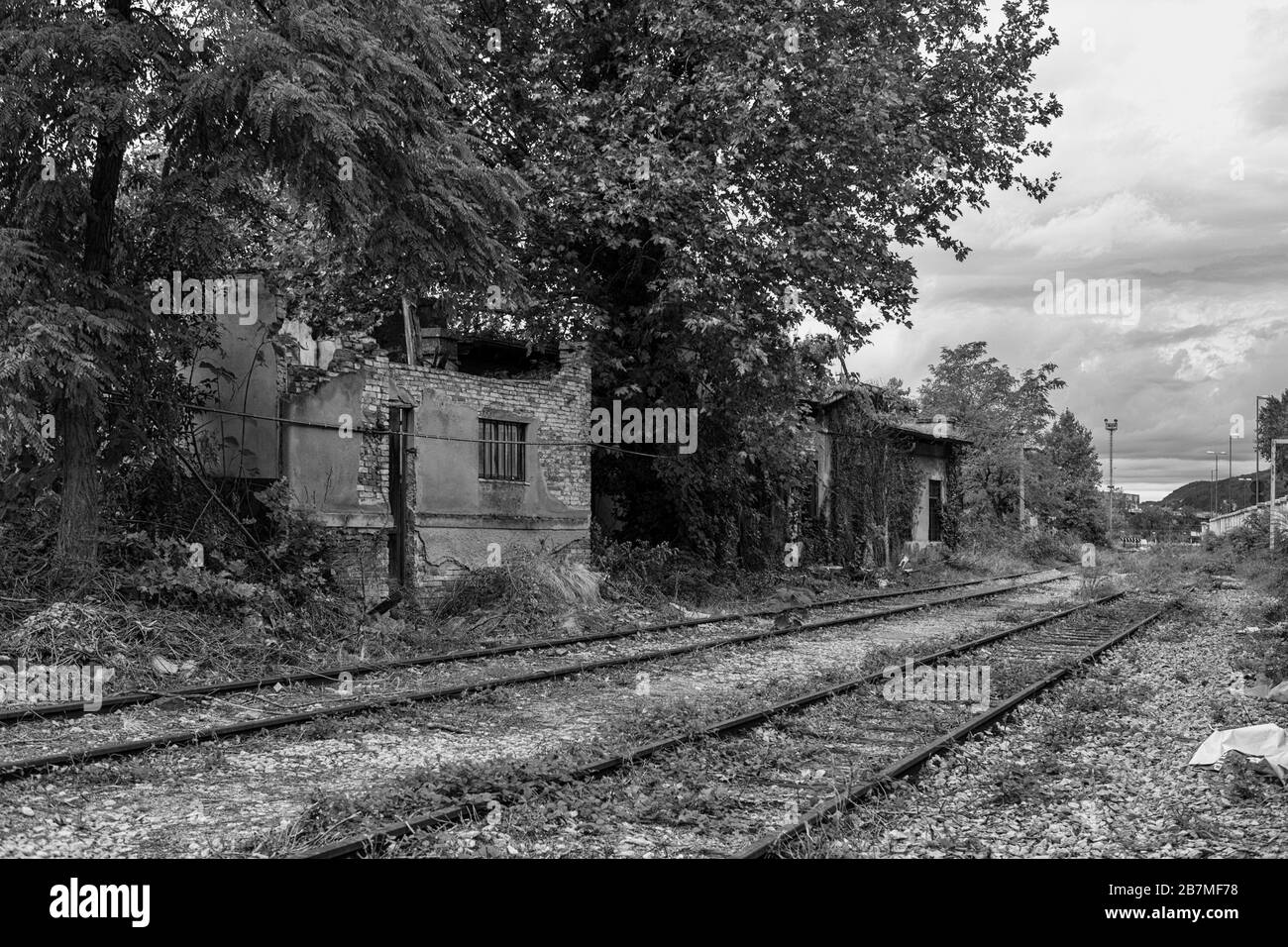 Verlassene Bahnstrecken im alten Hafen von Triest, Friaul-Julisch Venetien, Italien: Schwarz-weiß Stockfoto