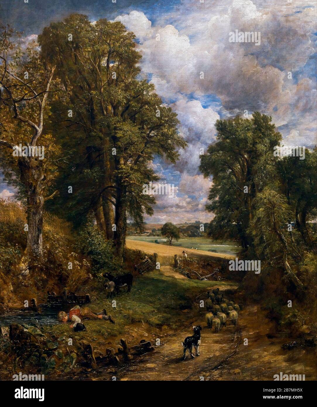 The Cornfield, John Constable, 1826, Stockfoto