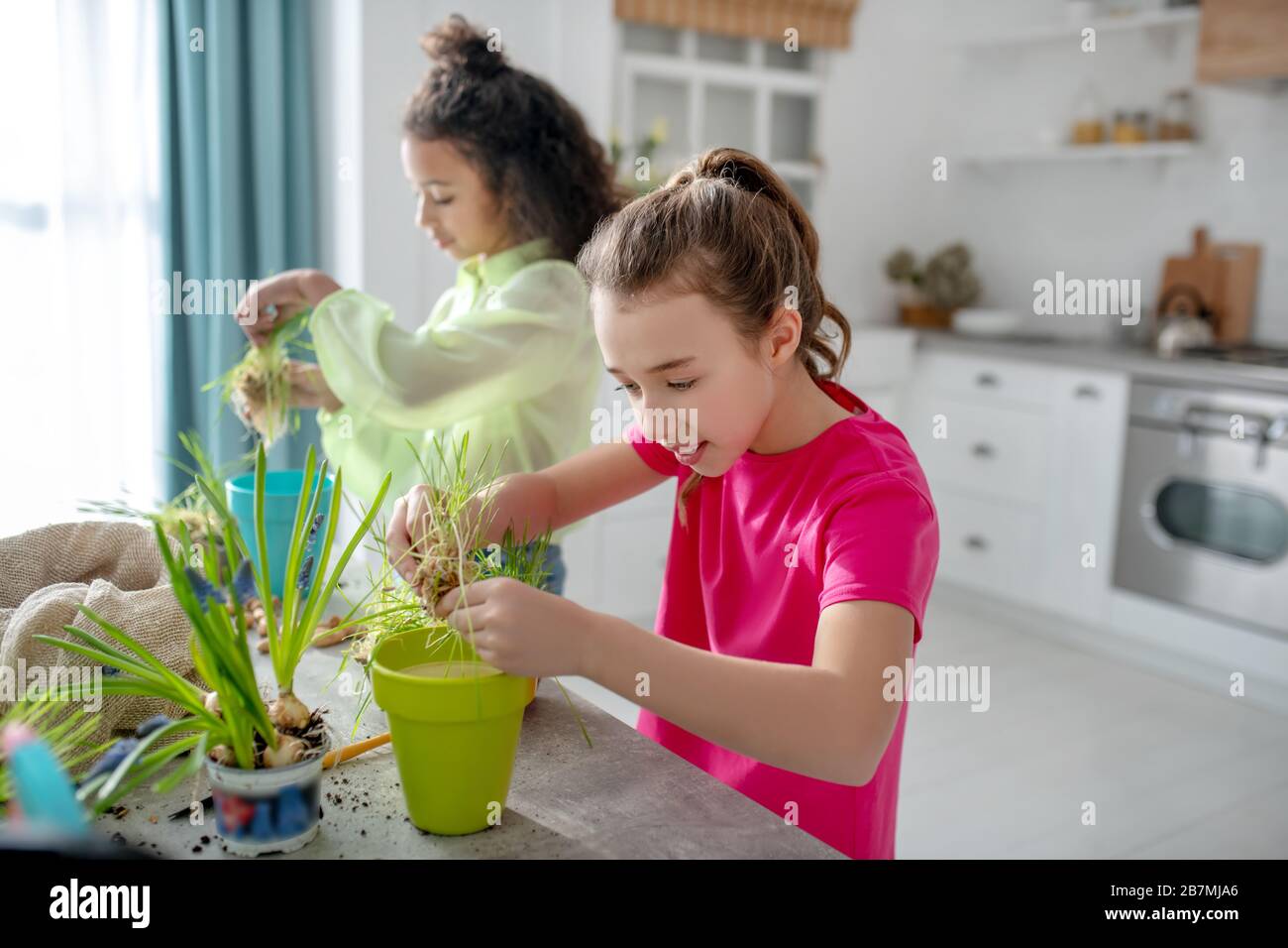 Zwei Mädchen stehen in der Nähe des Tisches mit Pflanzen in den Händen. Stockfoto