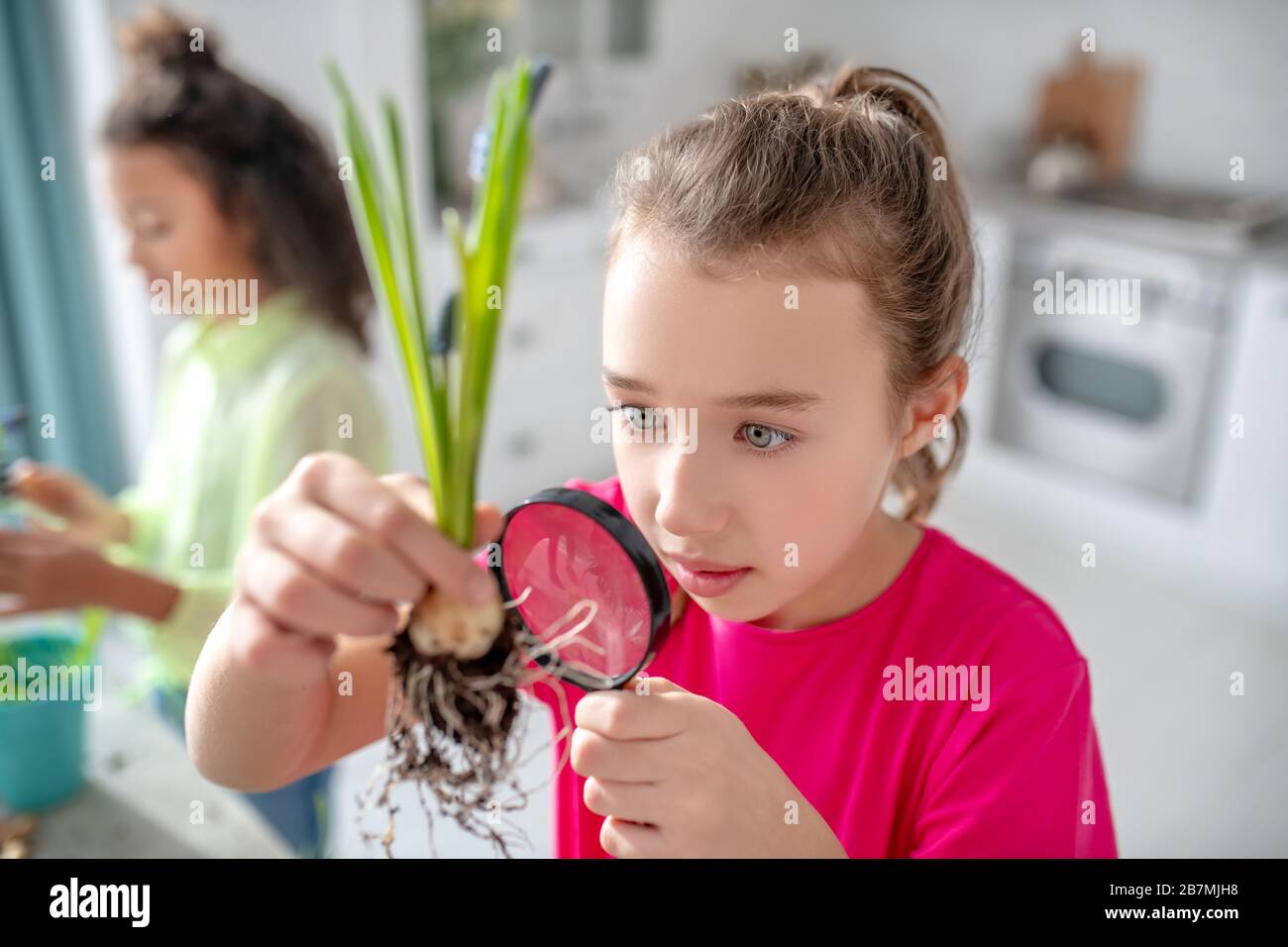 Mädchen mit einer Lupe in der Hand, die eine Blumenwurzel untersucht. Stockfoto