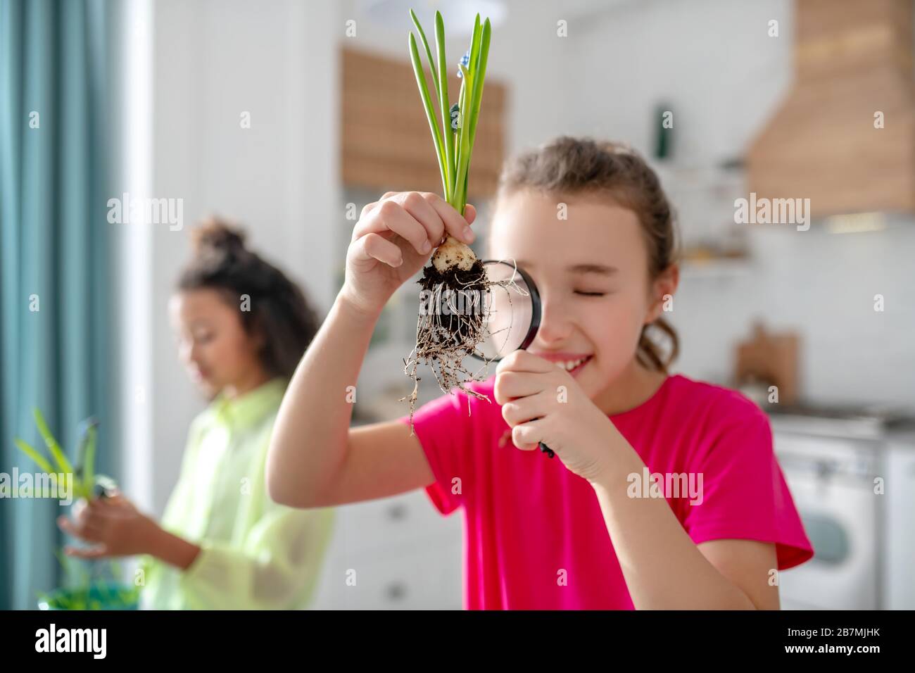 Mädchen mit einer Pflanze und einer Lupe. Stockfoto