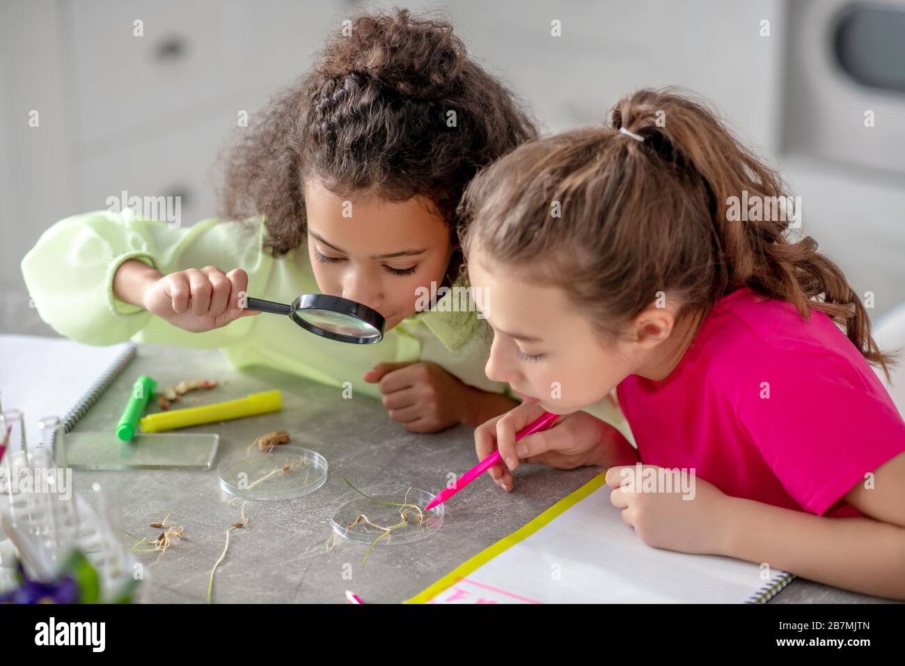 Zwei Mädchen sitzen an einem Tisch und schauen auf die Wurzeln der Pflanzen. Stockfoto
