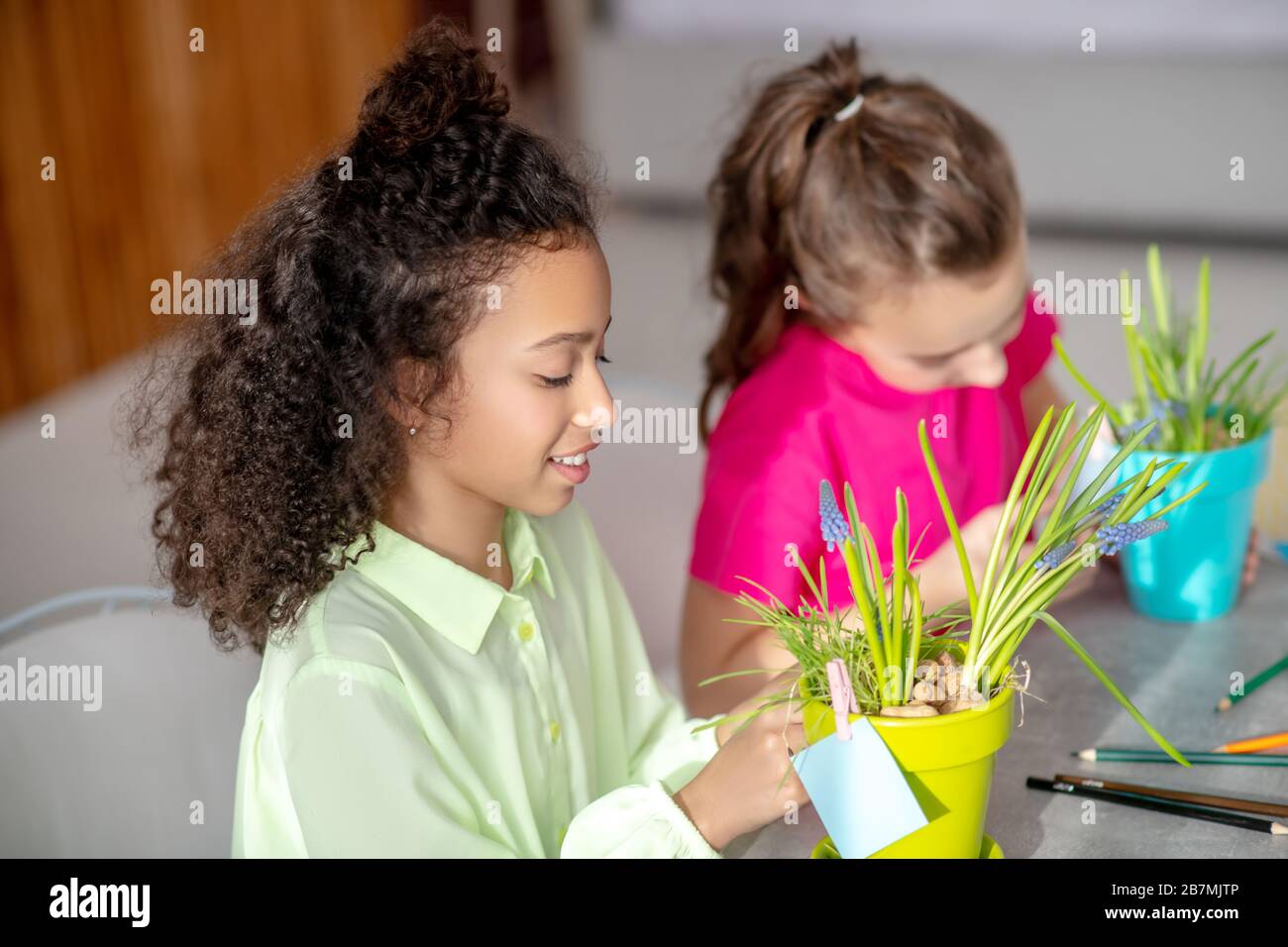 Zwei Freundinnen sitzen an einem Tisch mit Blumentöpfen. Stockfoto