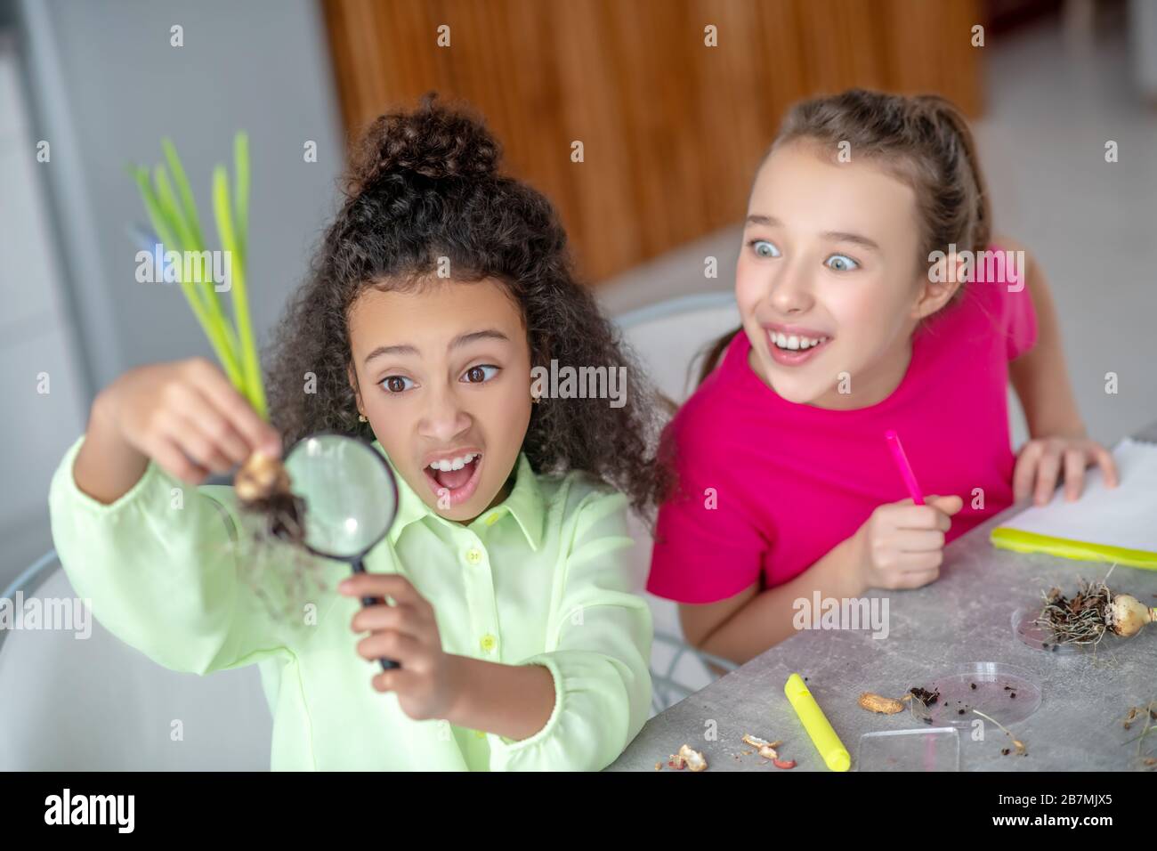 Zwei Teenager-Mädchen, die überraschend auf die Wurzel der Pflanze blicken. Stockfoto