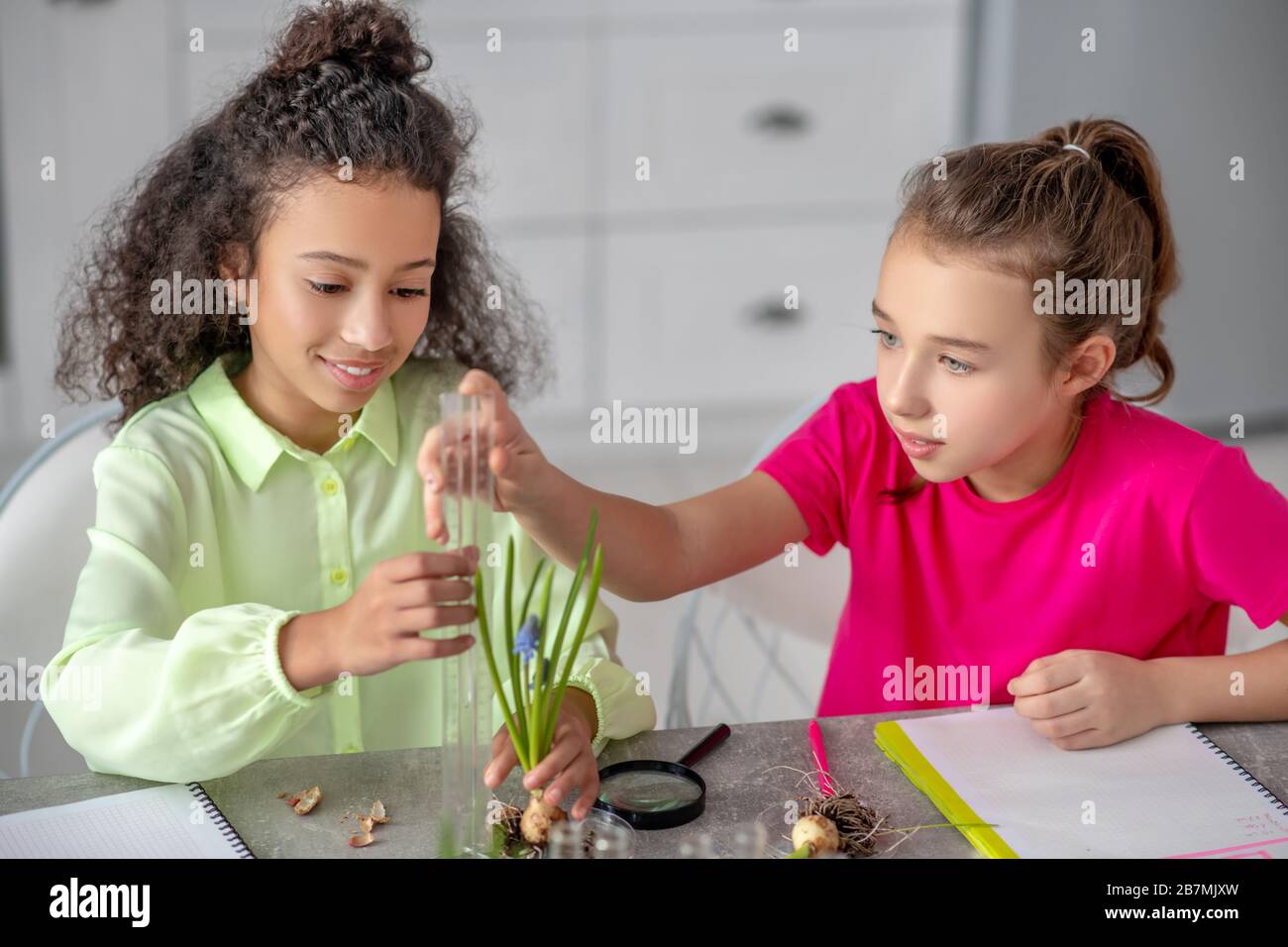 Zwei Mädchen mit Reagenzgläsern und einer grünen Pflanze. Stockfoto