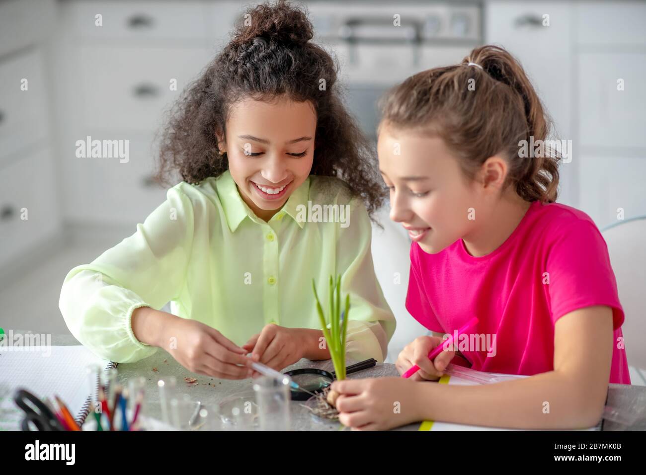Zwei Freundinnen führen zu Hause ein botanisches Experiment durch. Stockfoto