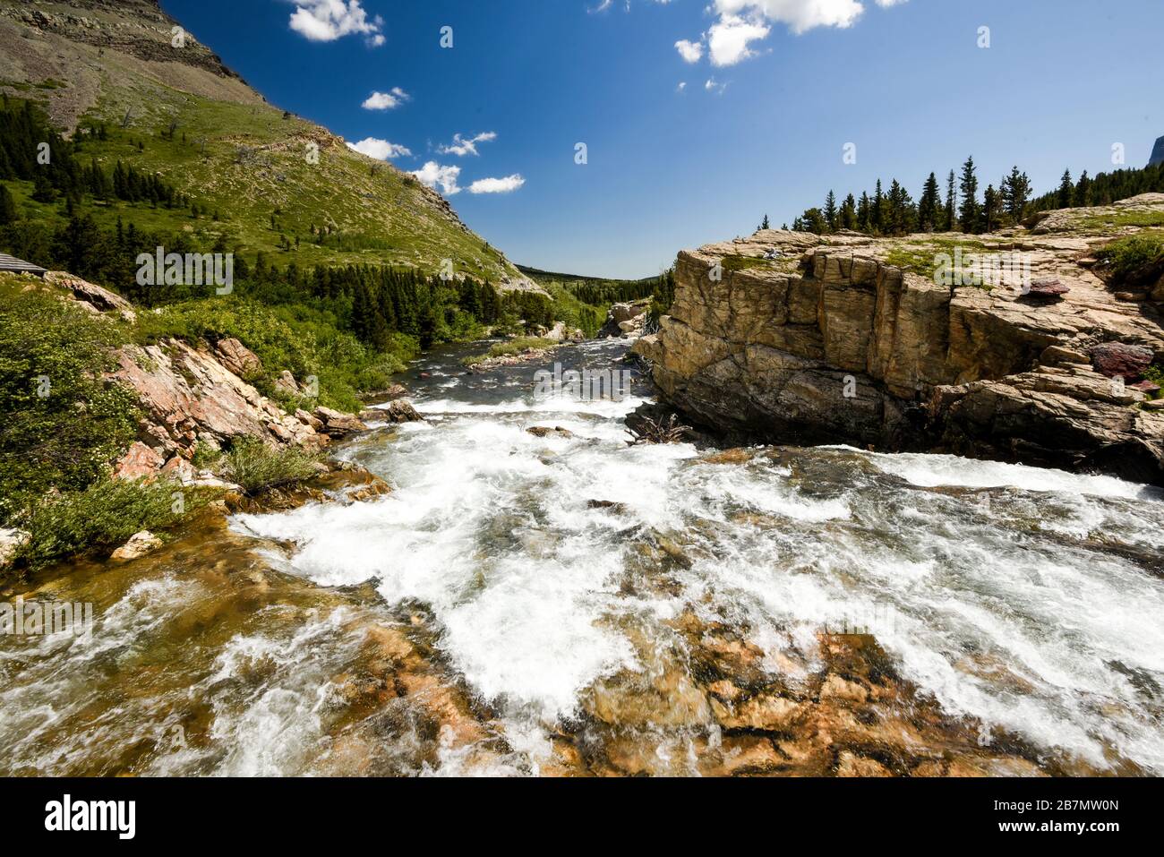 Ein schnell fließender Gletscherfluss, der über Felsen in Richtung Kamera in den Colorado-Bergen eilt Stockfoto