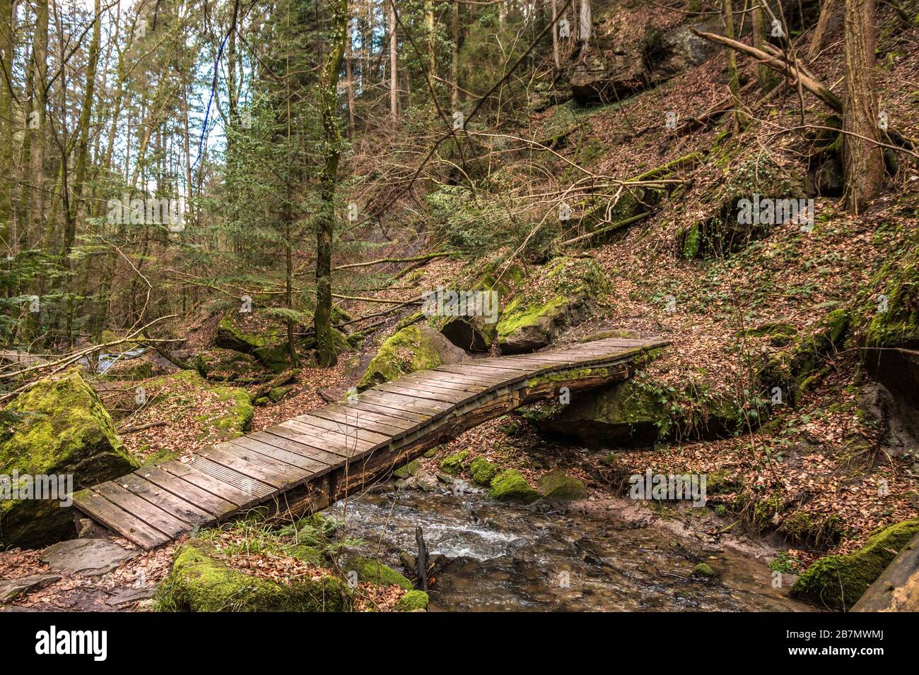 Kleine Brücke über den Bach entlang des Canyons mitten im grünen Wald Stockfoto