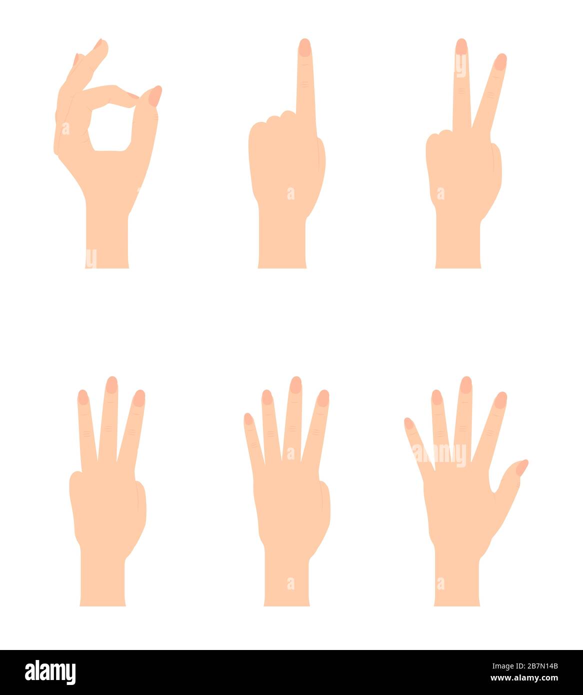 Satz naturalistischer Handsilhouetten, die die Zahlen 0, 1, 2, 3, 4, 5 mit Flexion der Finger zeigen. Vektor Illustraion Stock Vektor