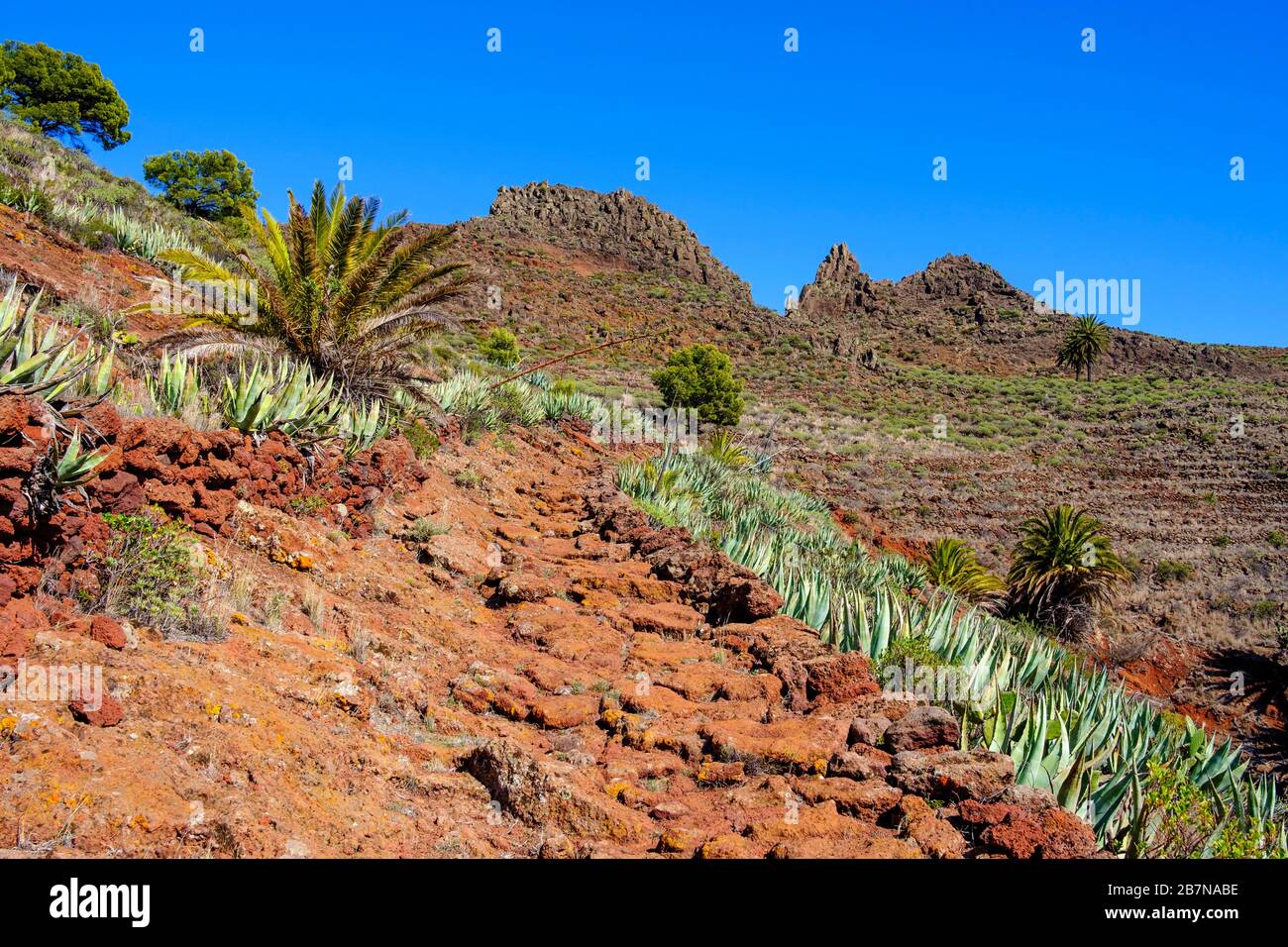 Felsiger Wanderweg, Tacalcuse, in der Nähe von San Sebastian, La Gomera, Kanarische Inseln, Spanien Stockfoto