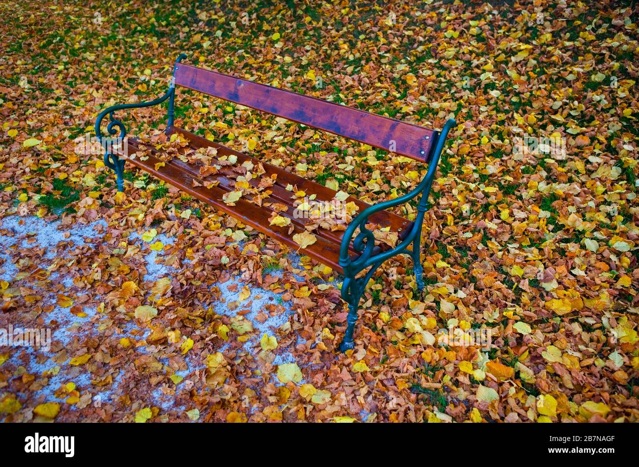 Herbst, Herbstlaub, mit Herbstlaub bedeckte Parkbank, Mondsee, Salzkammergut, Oberösterreich, Österreich Stockfoto