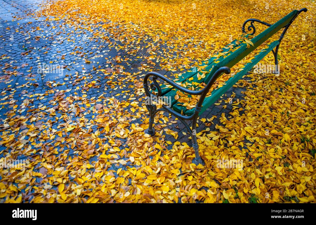 Herbst, Herbstlaub, mit Herbstlaub bedeckte Parkbank, Mondsee, Salzkammergut, Oberösterreich, Österreich Stockfoto