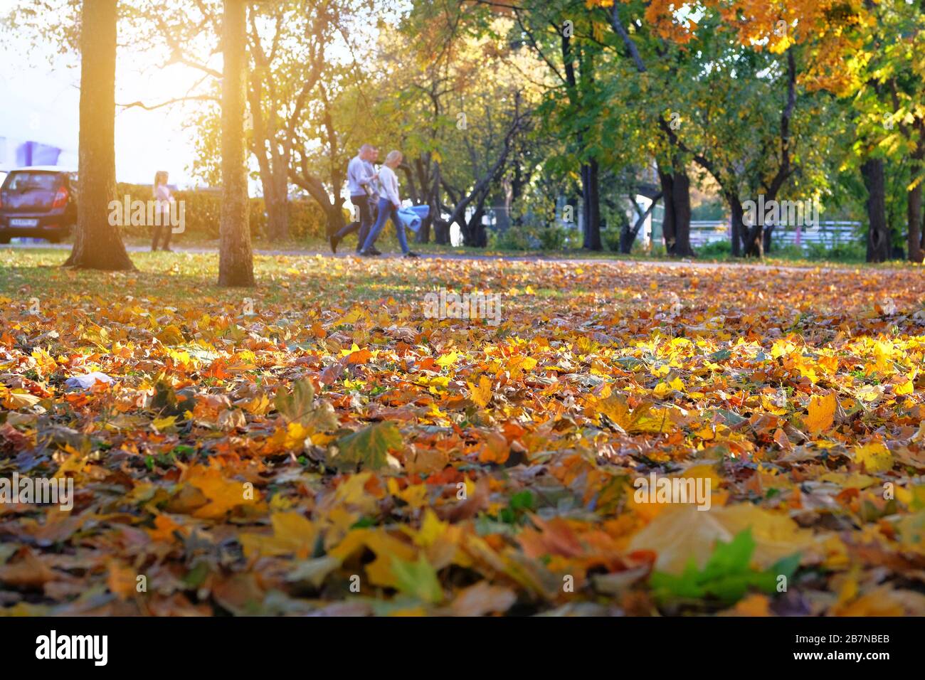 Herbst-Stadtpark-Gasse. Am sonnigen Herbsttag spazieren die Menschen durch den Park. Gelbe Herbstblätter. Sonnig. Stockfoto