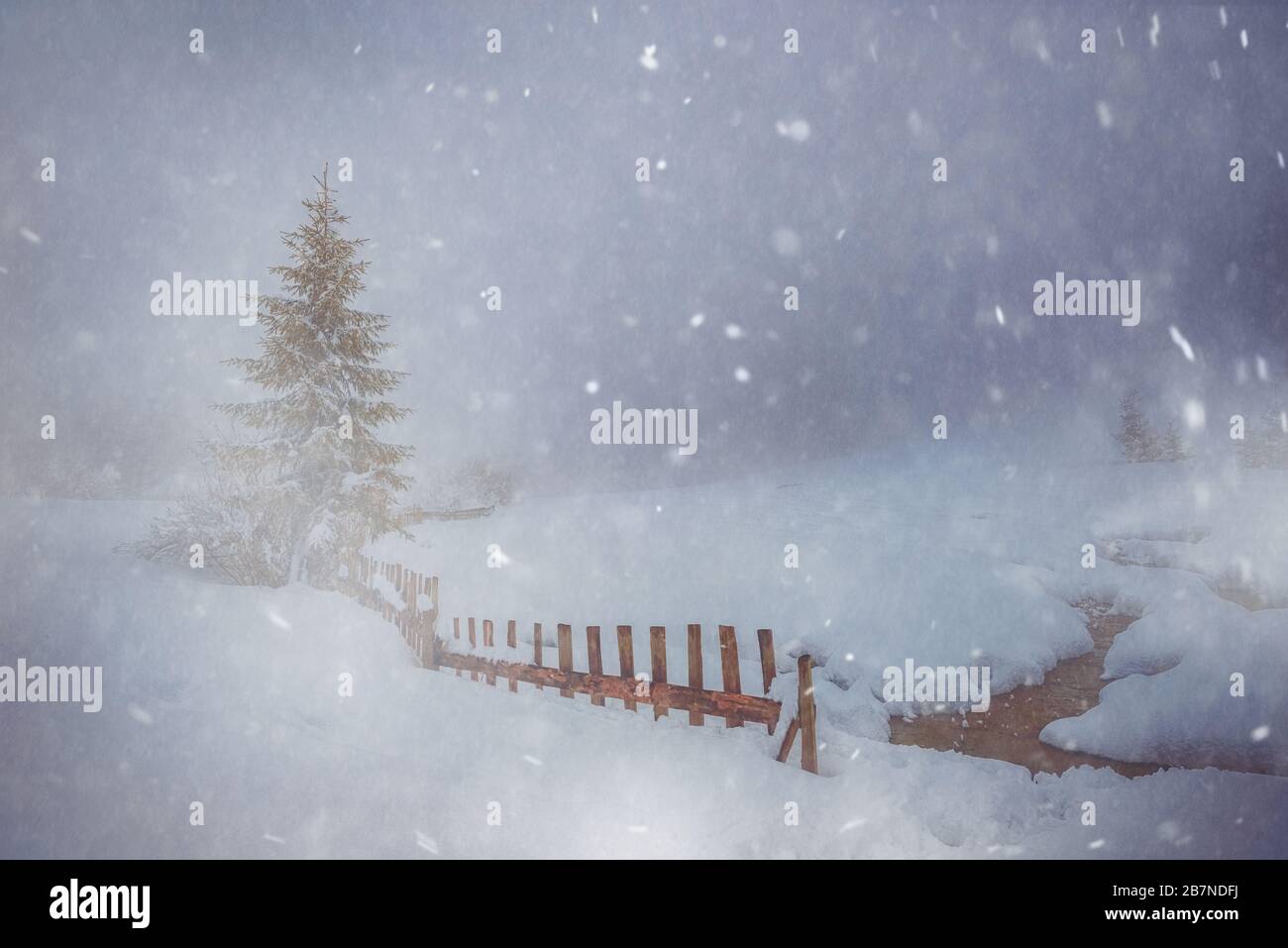 Winterlandschaft, Zaun und Fichte mit Schneesturm bedeckt. Kunstwerk, Weihnachtsthema. Stockfoto