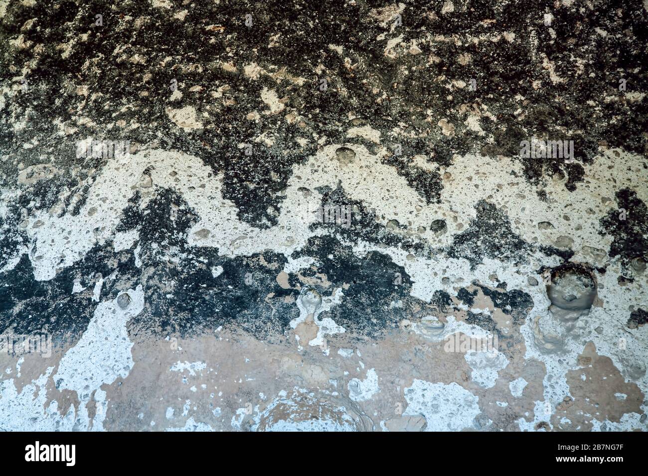 Schlangenförmigen Petroglyph in Höhle, Mortandad Cavate Trail, Los Alamos, New Mexico, USA Stockfoto