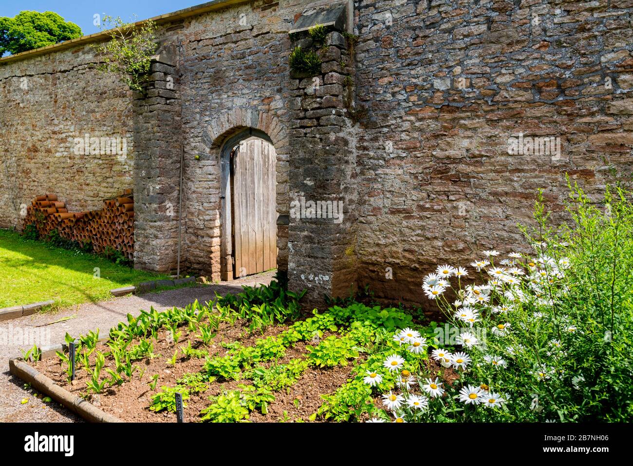 Eine ruhige Ecke im ummauerten Garten im Tyntesfield House, NR Wraxall, North Somerset, England, Großbritannien Stockfoto