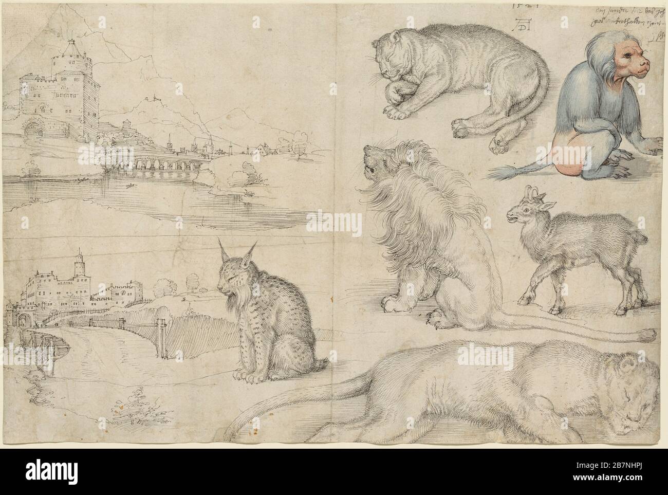 Skizzen von Tieren und Landschaften, 1521. Gefunden in der Sammlung des Clark Art Institute, Williamstown, Massachusetts. Stockfoto