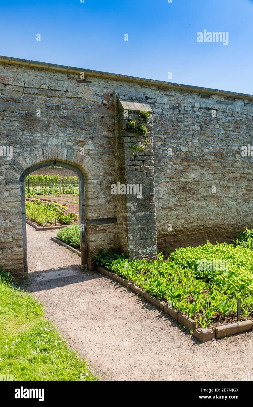 Eine ruhige Ecke im ummauerten Garten im Tyntesfield House, NR Wraxall, North Somerset, England, Großbritannien Stockfoto