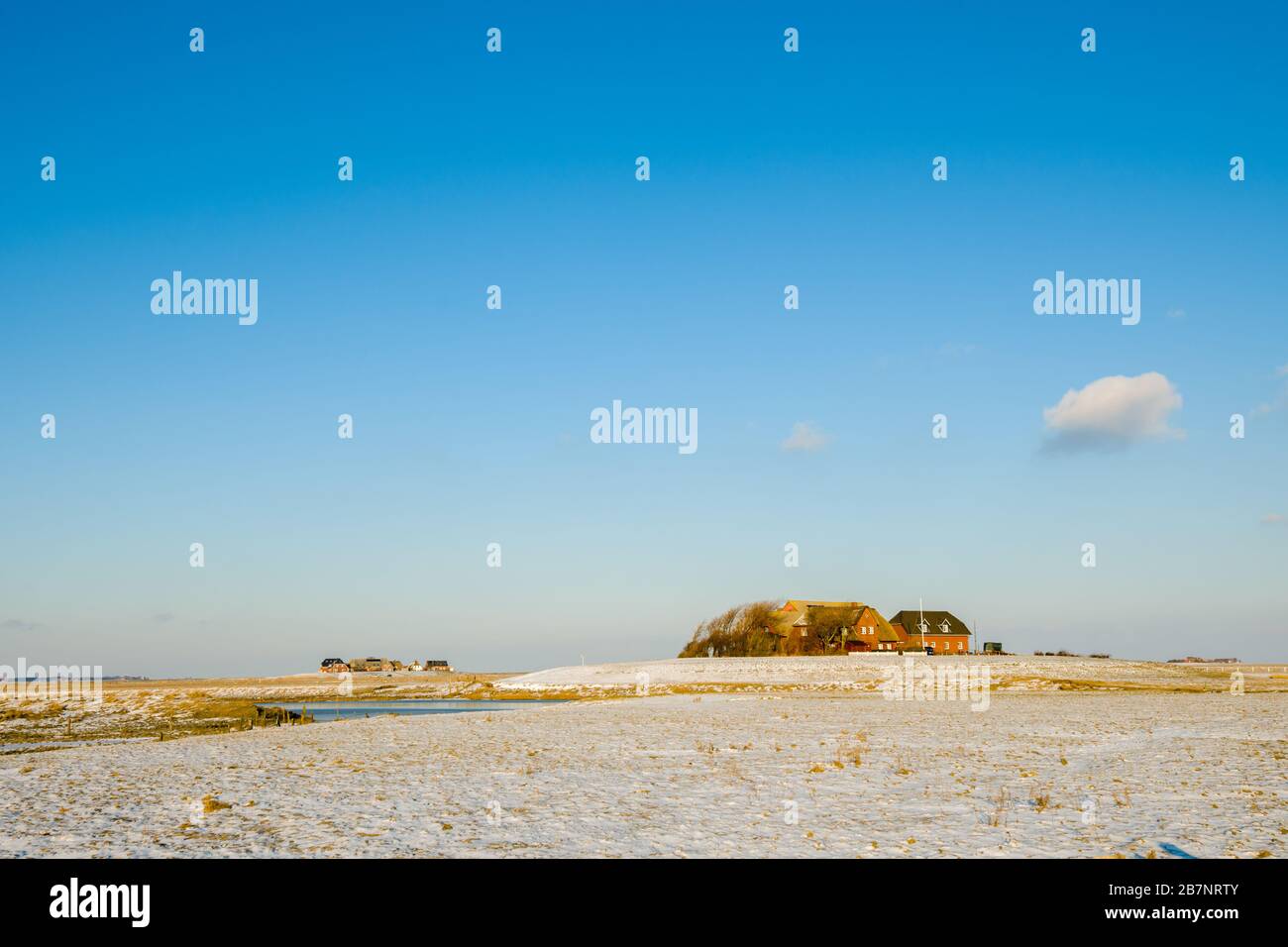 Insel Hallig Langeness, Nordsee, UNESCO-Weltkulturerbe, Nordfriesland, Schleswig-Holstein, Deutschland, Stockfoto