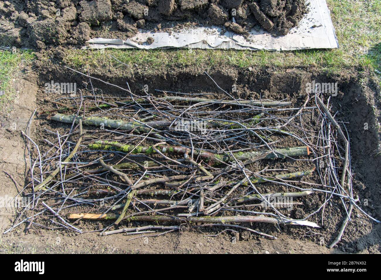 High-Angle-Schuss von Zweigen und Baumstämmen auf der gelegt Boden für Hugelkultur Hochbetten Stockfoto