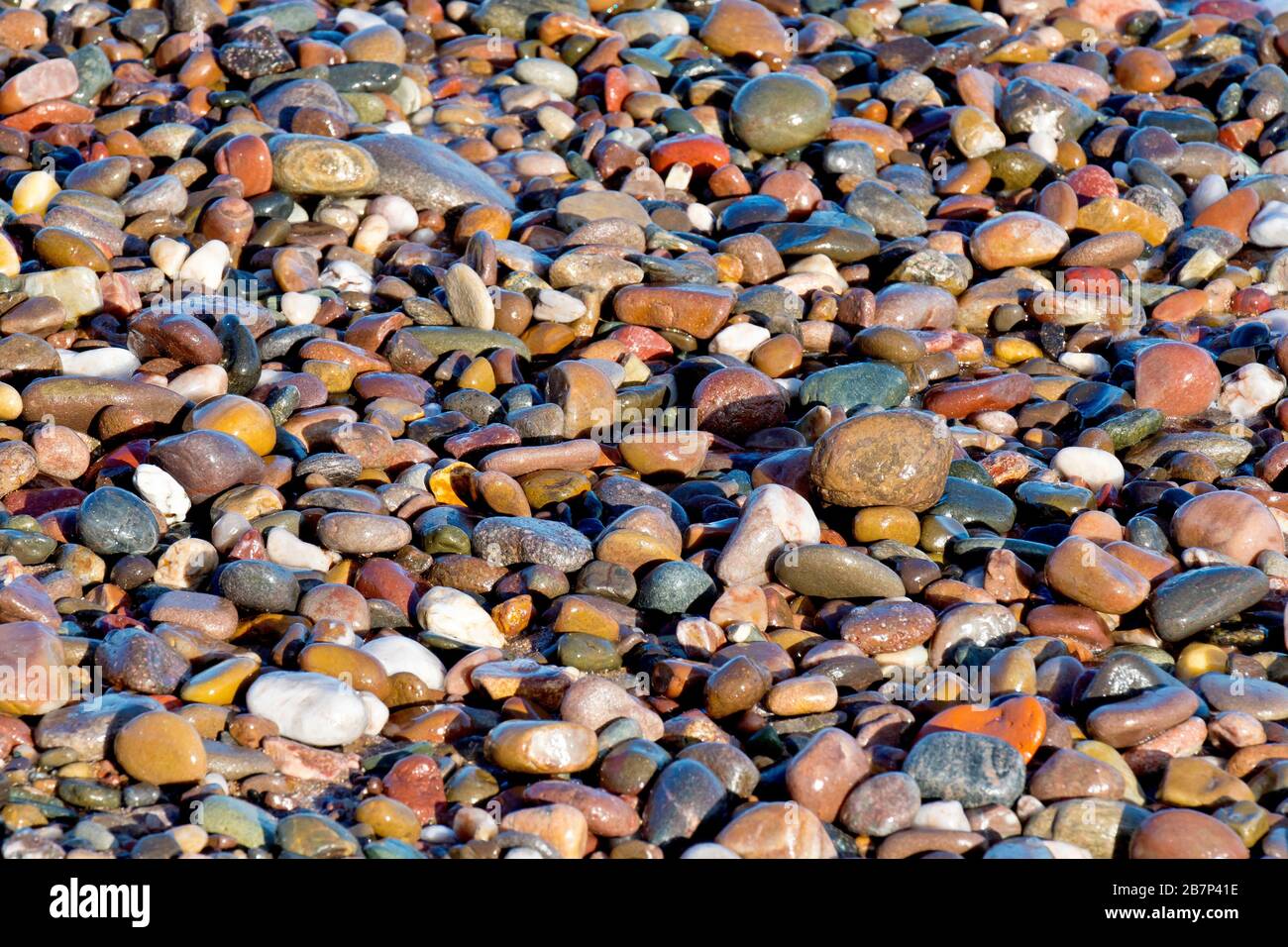 Ein abstrakter Schuss von einer Bank bunter nasser Kieselsteine am Strand, der von warmer, später nachmittäglicher Sonne angezündet wird. Stockfoto