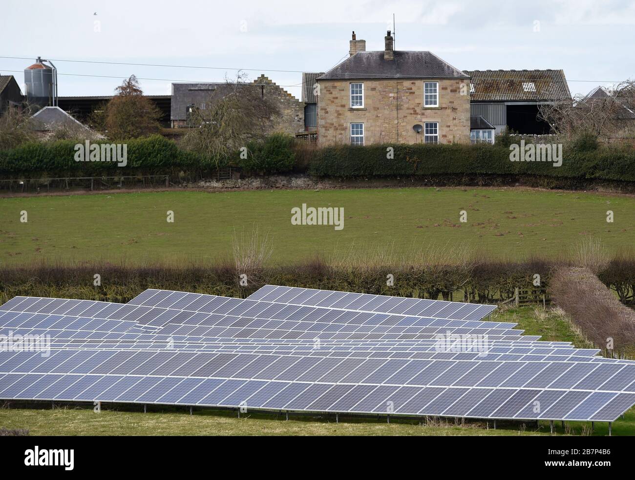 Reihen von Solarmodulen in einem Farmer Feld in der Nähe von Kelso, Scottish Borders, Großbritannien Stockfoto
