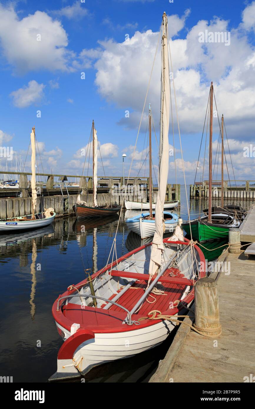 Viking Ship Museum, Roskilde, Neuseeland, Dänemark, Europa Stockfoto