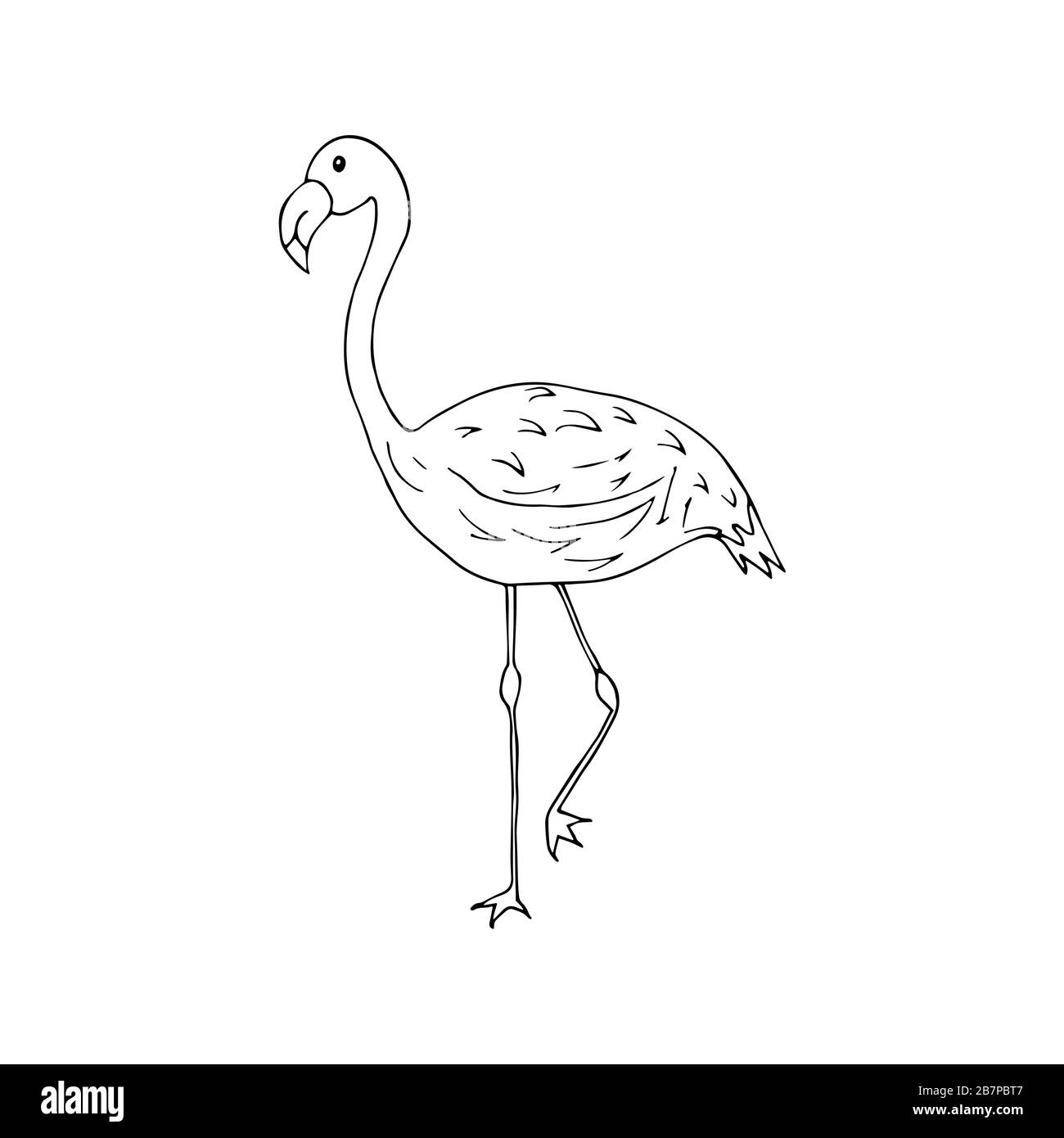 Flamingo Vogel In Schwarz Weisser Zeichnung Im Doodle Stil Eleganter Vogel Steht Mit Einem Bein Nach Oben Stock Vektorgrafik Alamy
