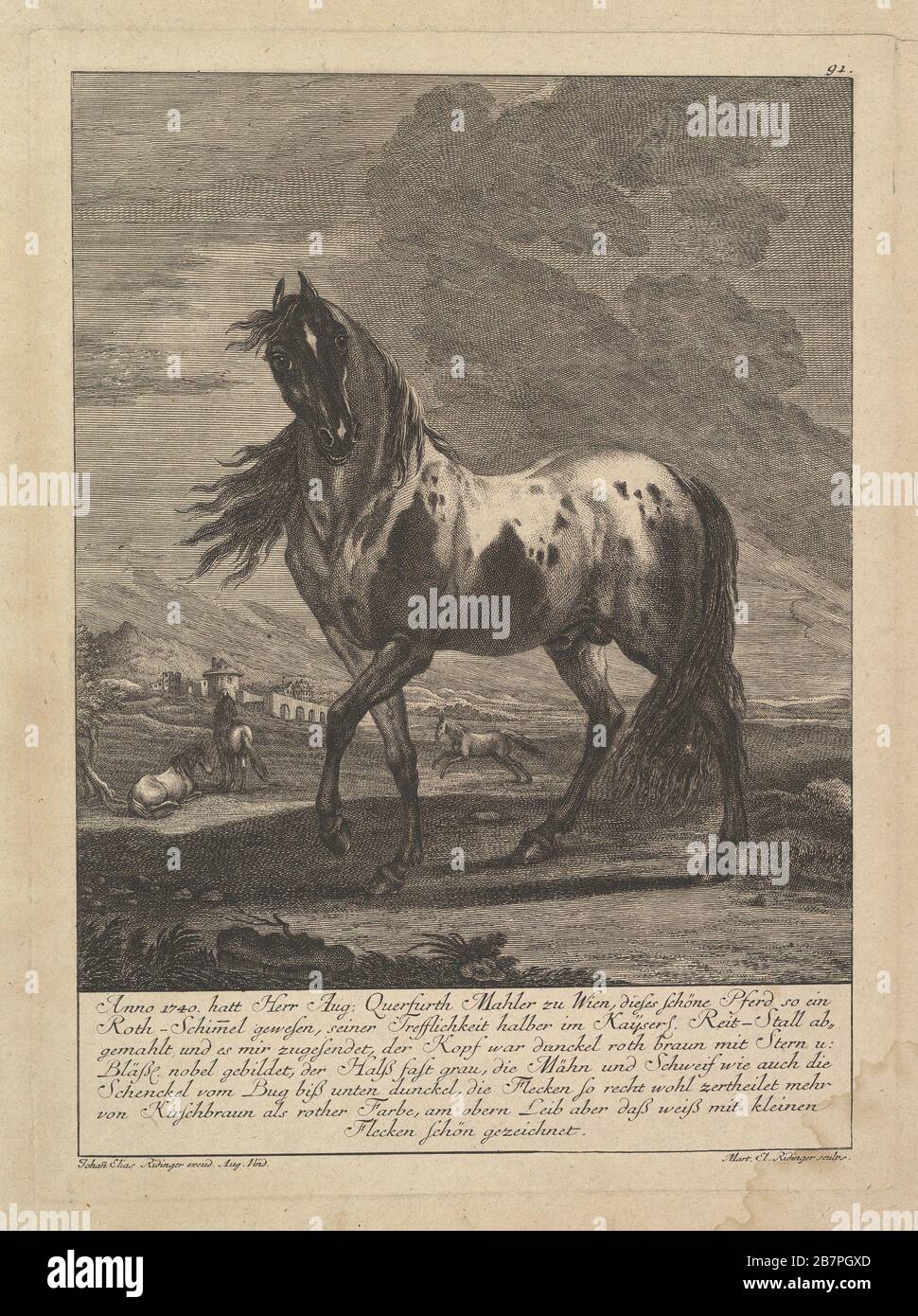 Johann Elias Umsetzer Fotos Und Bildmaterial In Hoher Aufl sung Alamy johann-elias-umsetzer-fotos-und-bildmaterial-in-hoher-aufl-sung-alamy