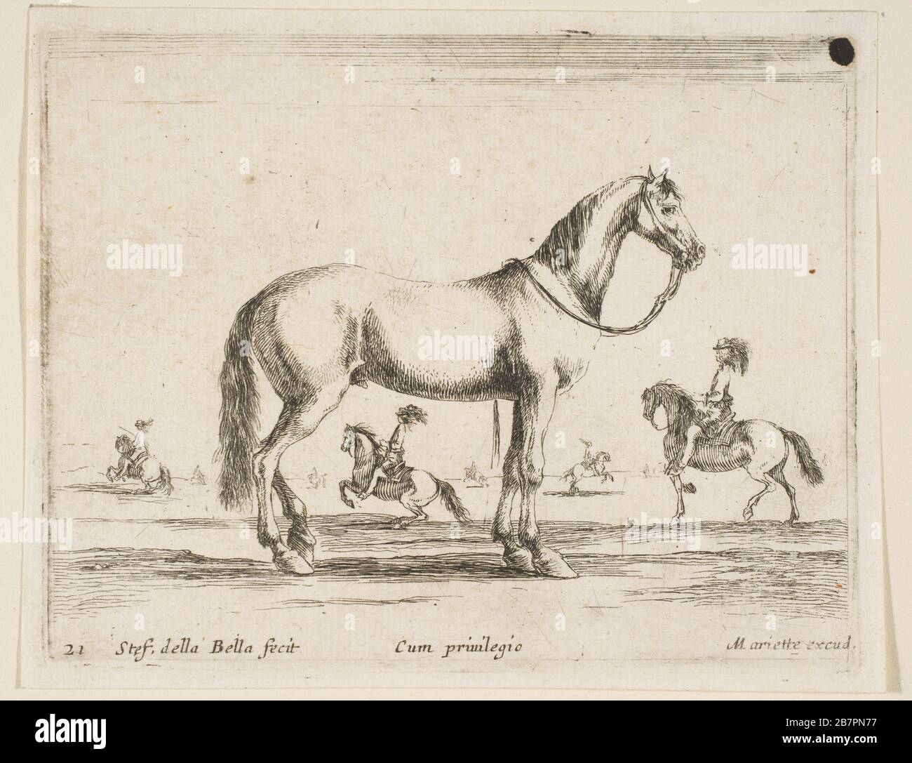 Platte 21: Pferd, von "verschiedenen Tieren" (Diversi animali), 1641. Stockfoto