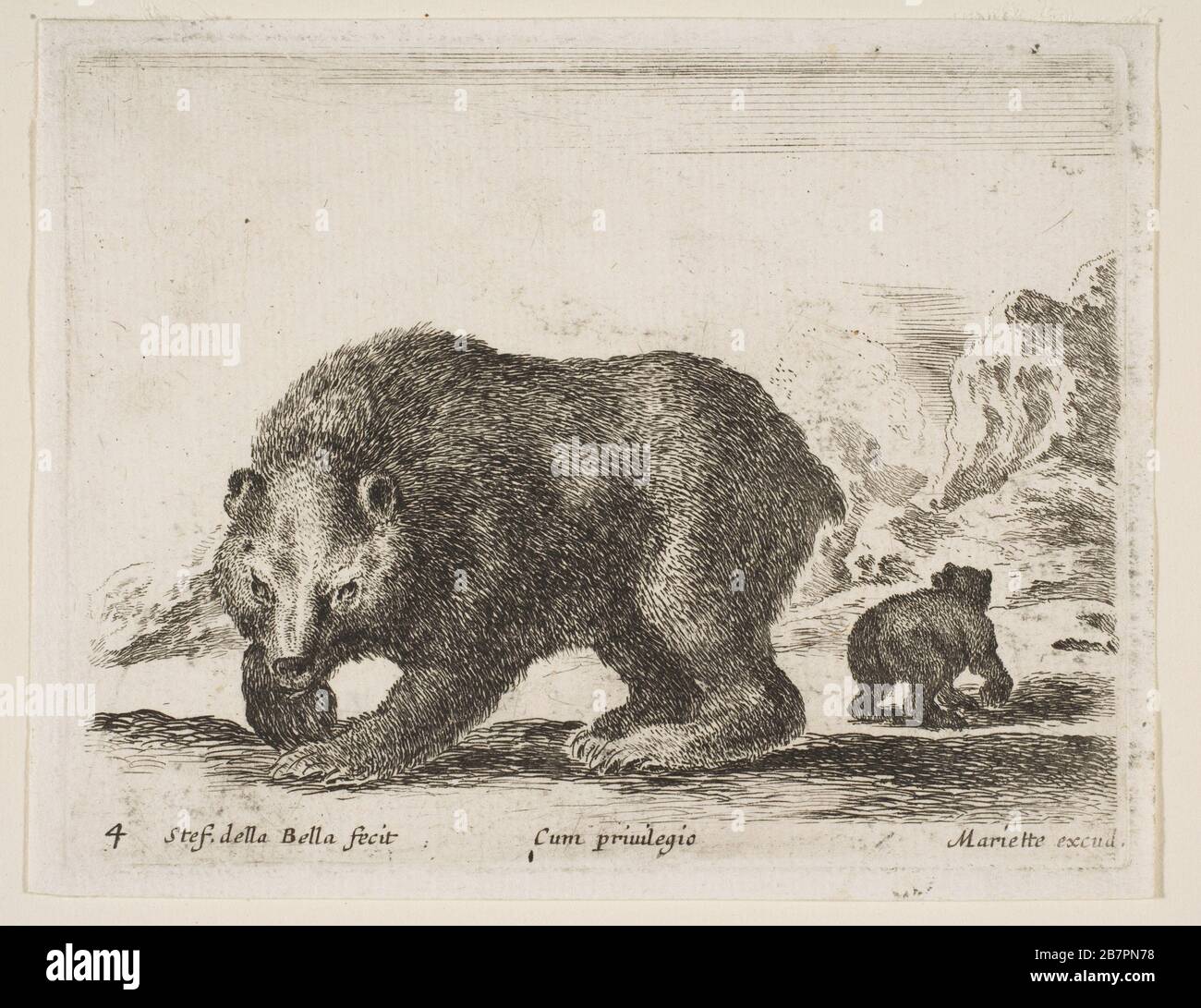 Platte 4: Bär, von "verschiedenen Tieren" (Diversi animali), 1641. Stockfoto