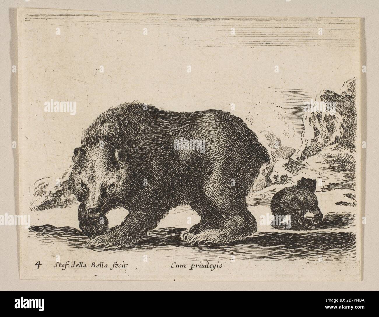 Platte 4: Bär, von "verschiedenen Tieren" (Diversi animali), ca. 1641. Stockfoto