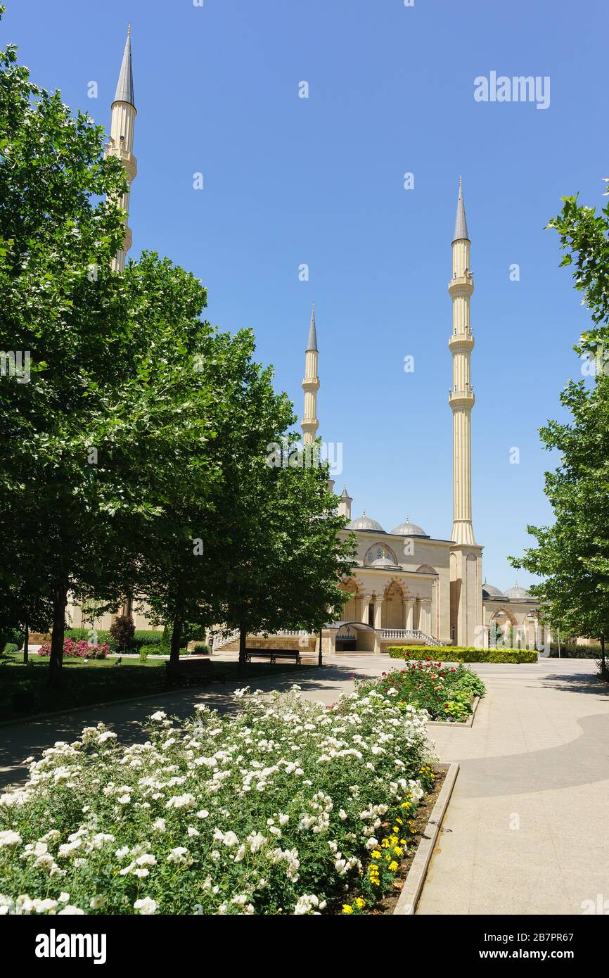 Blumenallee, die zum Akhmat Kadyrov Herzen der Tschetschenien-Moschee führt. Sonniger Sommertag Stockfoto