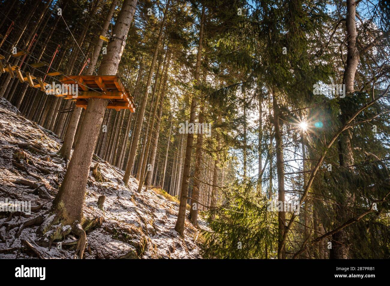 Seilpark mit Sonne im Hintergrund. Seilpark im Wald in Krkonose. Freizeit, Unterhaltung, Adrenalinsport. Kletterfahrten, Zipline, Seil Stockfoto