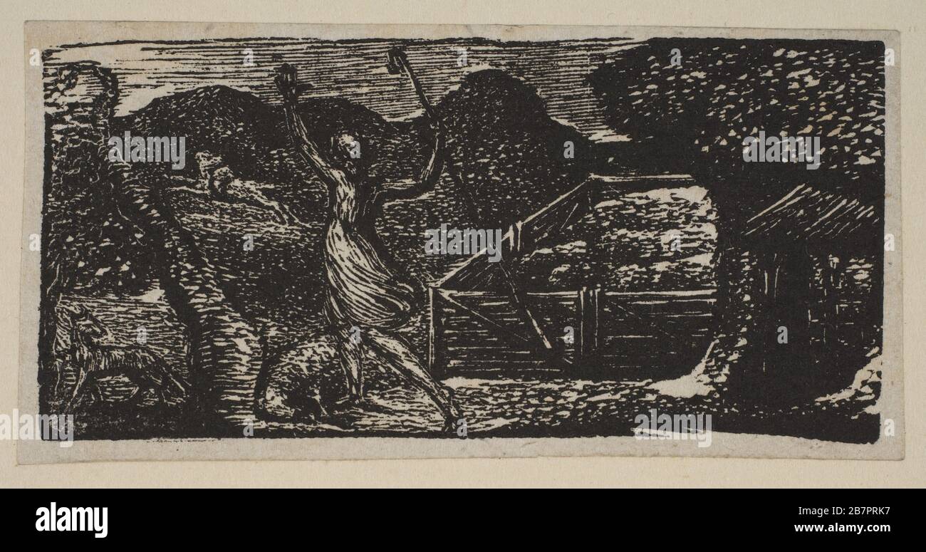 Shepherd jagt einen Wolf, aus Thorntons Pastoralen von Virgil, 181. Stockfoto