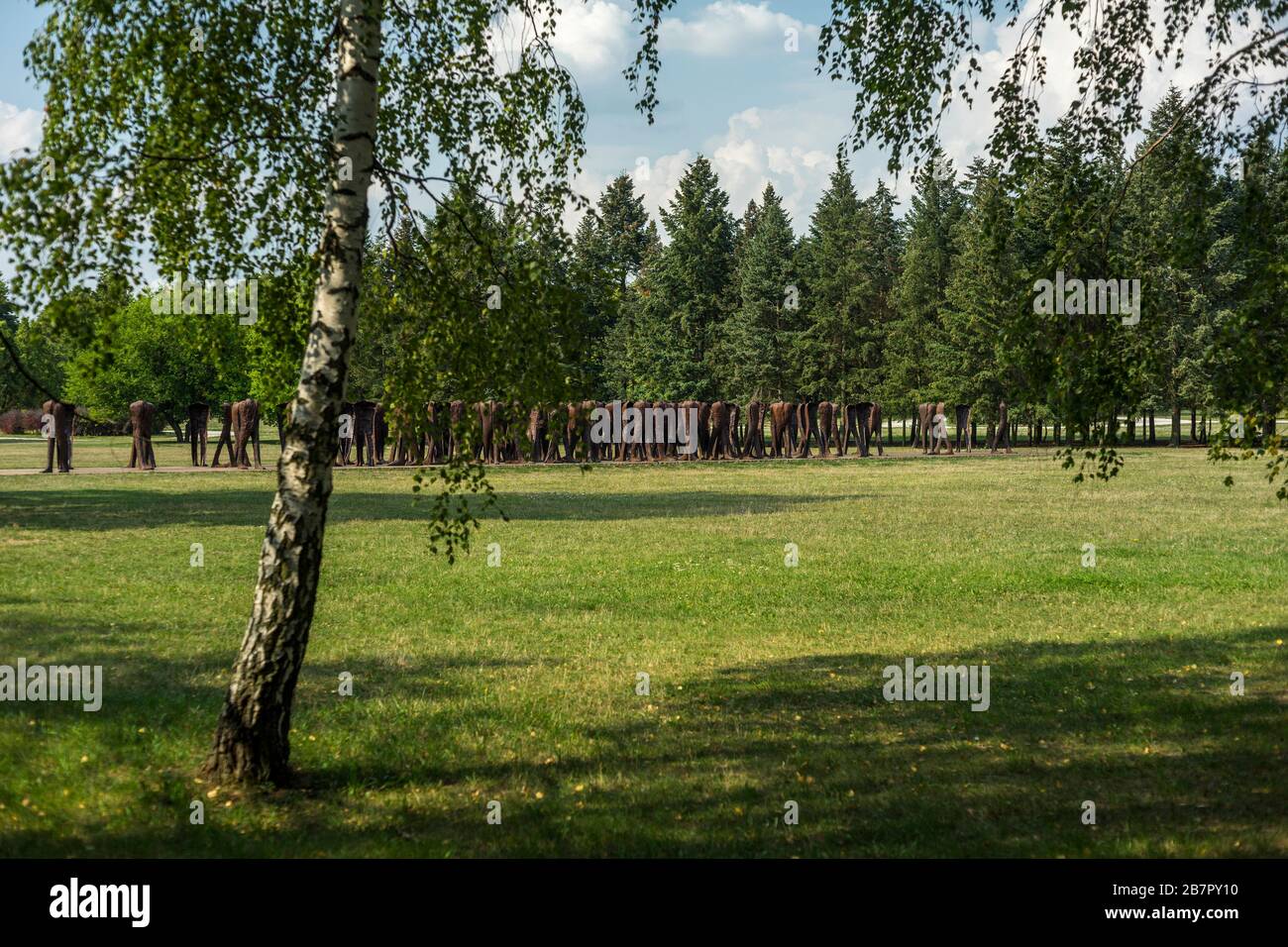 "Die unerkannten", eine Skulptur von Magdalena Abakanowicz, im Zitadellenpark in Posen, Polen 2019. Stockfoto "Die unerkannten", eine Skulptur von Magdalena Abakanowicz, im Zitadellenpark in Posen, Polen 2019. Stockfoto