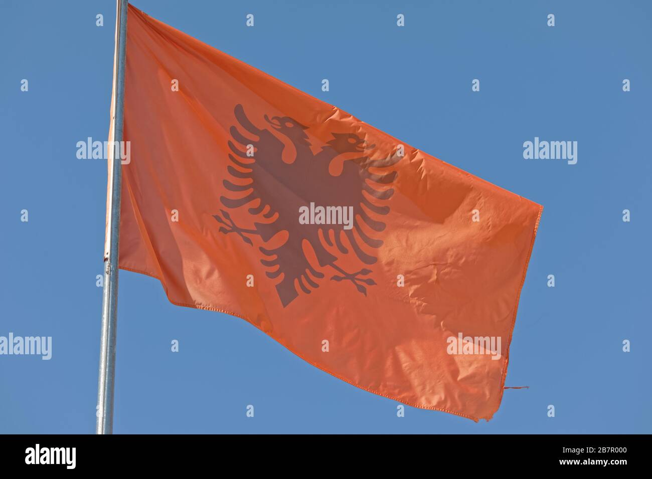 Vogel der roten flagge Fotos und Bildmaterial in hoher Auflösung