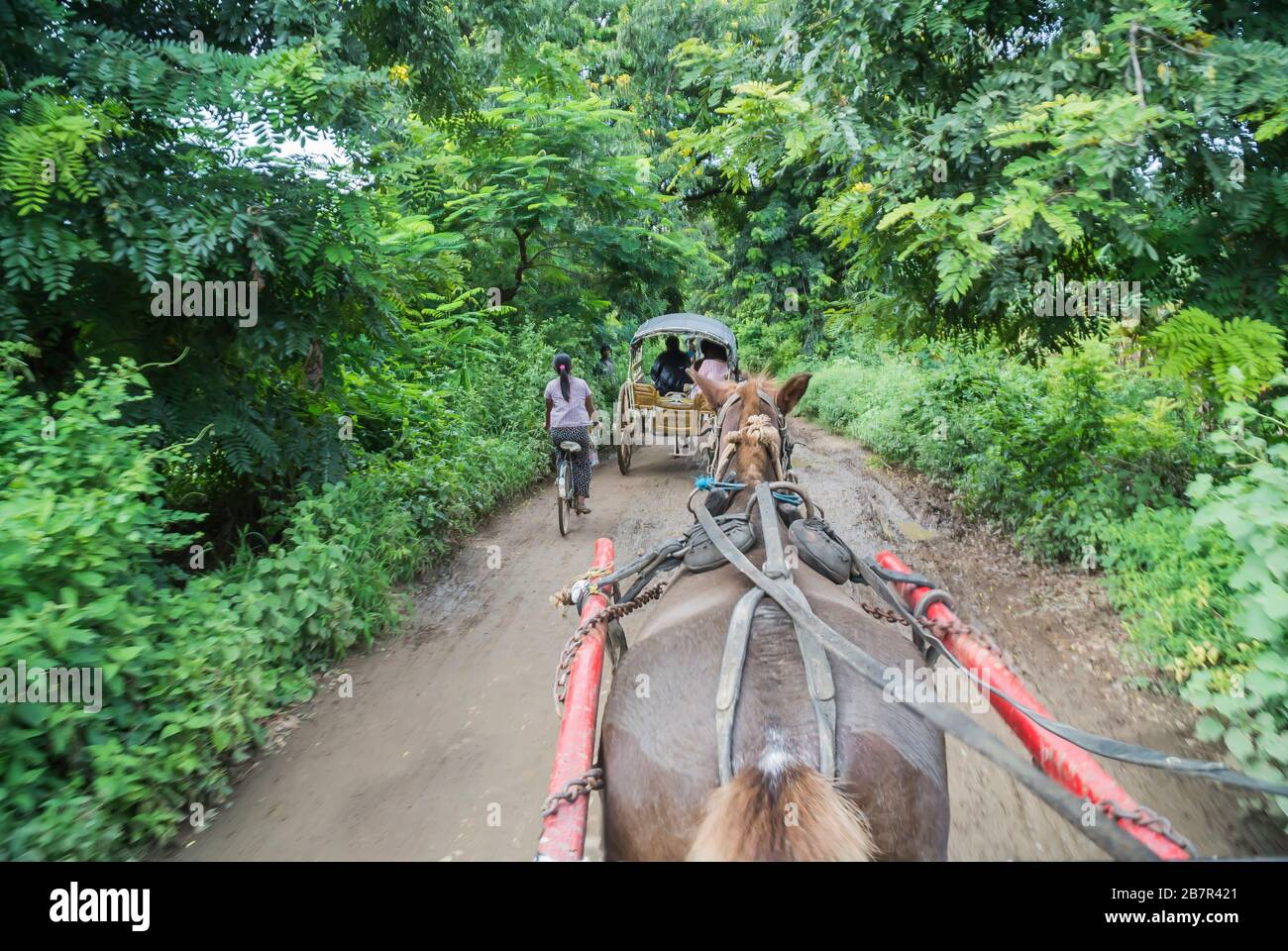 Horse Drawn Buggy auf der Muddy Road in Myanmar Stockfoto