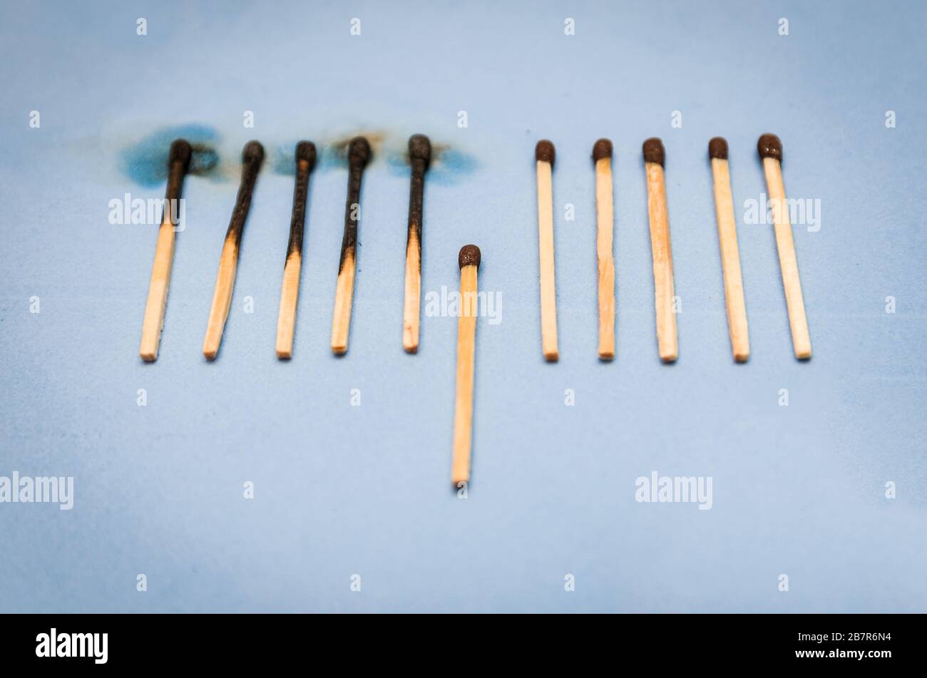 Matchstäbchen brennen, ein Stück verhindert, dass sich das Feuer ausbreitet - das Konzept, wie man die Ausbreitung des Coronavirus verhindert. Konzept zum Stoppen der Ansteckung o Stockfoto