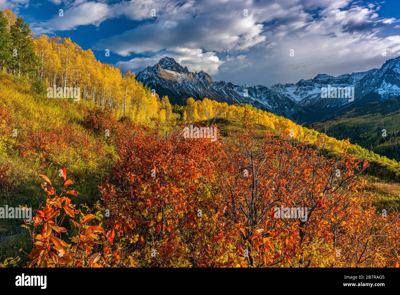 Aspen, Chockekirsche, Mount Sneffels, Dallas Divide, Uncompahgre National Forest, Colorado Stockfoto