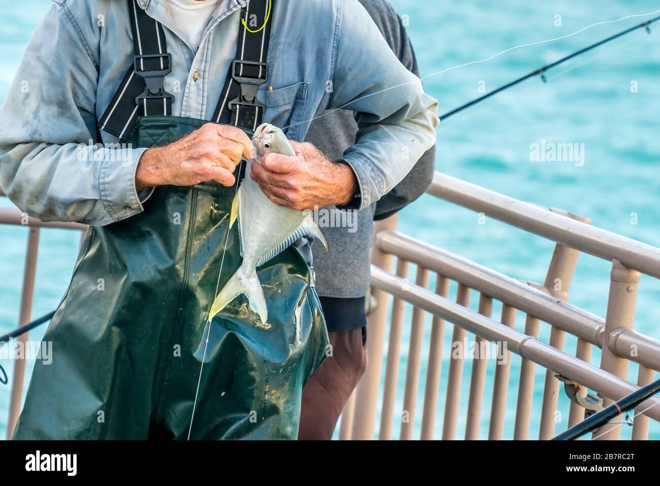 Ein Fischer entfernt Haken von einem Fisch, den er gefangen hat Stockfoto