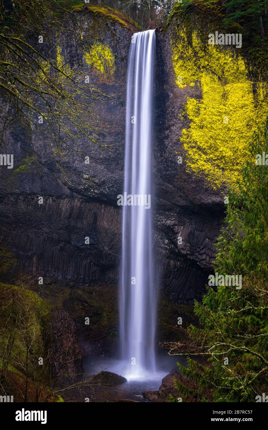Wasserfall in Oregon Stockfoto