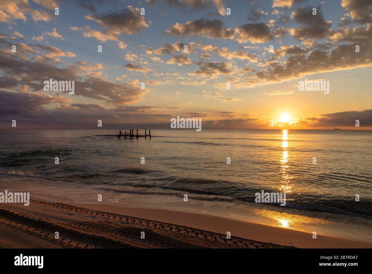 Schöner Sonnenaufgang am Strand in Cancun, Mexiko, mit goldenen Reflexionen und Silhouette von Seevögeln auf Holzpfosten am karibischen Meer. Stockfoto