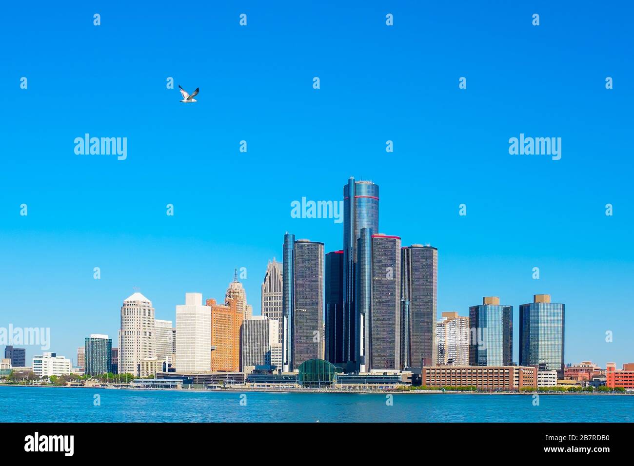 Die Skyline von Detroit mit einer Möwe in blauem Himmel Stockfoto