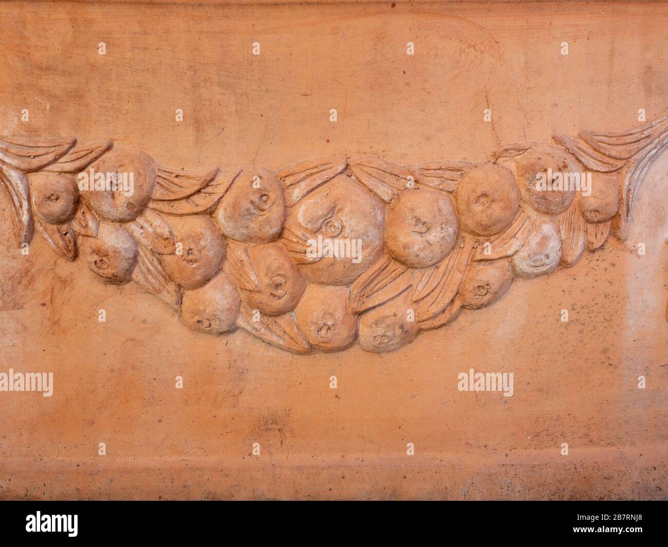 Die Sonne filtert durch die Äste eines Kiefernwaldes Stockfoto