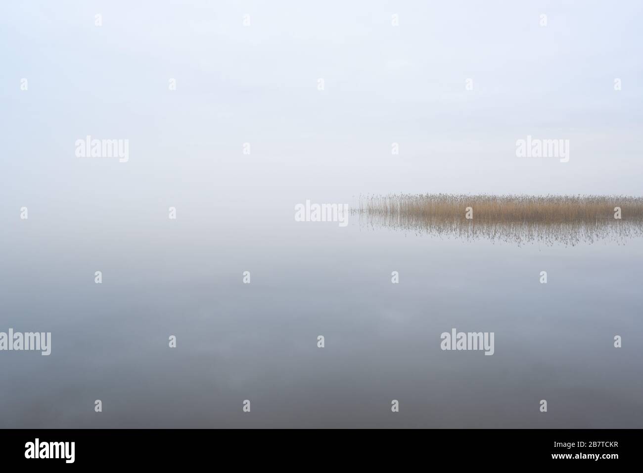 Nebelige Landschaft mit ruhigem See. Nebel über Wasser. Nebelige Luft. Frühkindlicher Morgen im Herbst. Schöner Freiheitsmoment und friedliche Atmosphäre in der Natur Stockfoto