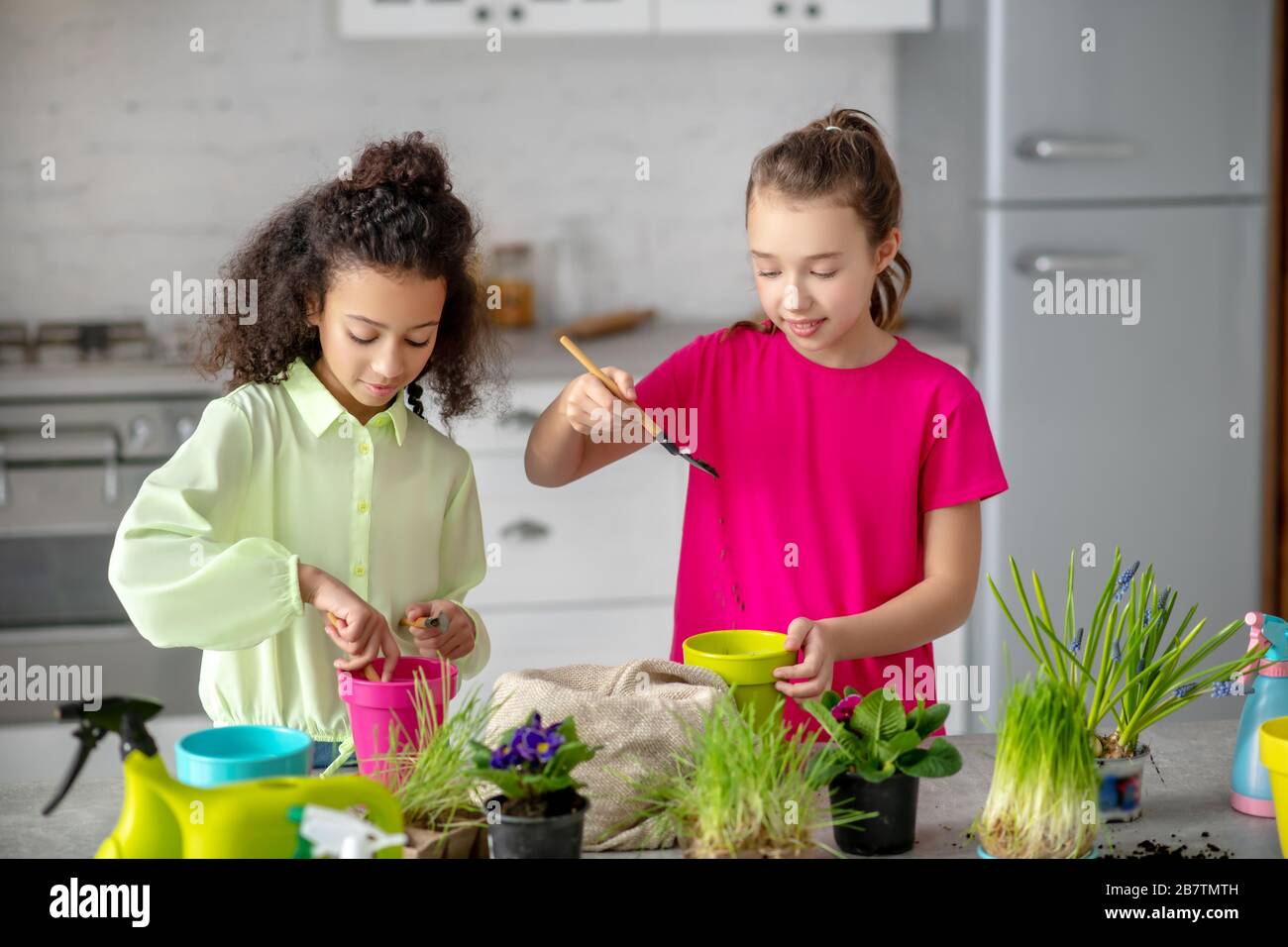 Teenager-Mädchen bauen in der Küche mit Begeisterung Zimmerpflanzen auf. Stockfoto